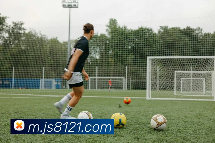 AI Risk Control